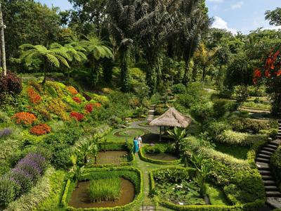 Grüner Garten mit verschiedenen Pflanzen, Blumen und einem kleinen Pavillon auf Terrassen.