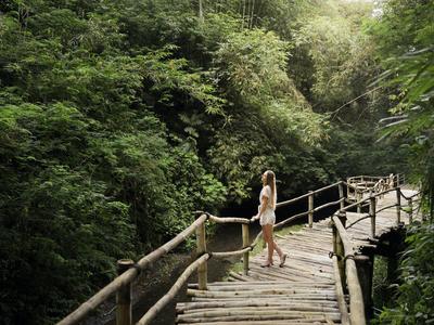 Een vrouw loopt over een houten pad door een dicht, groen bos.