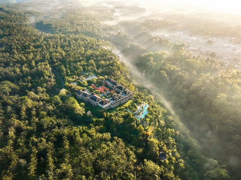 Luftaufnahme einer Burg in dichtem, grünem Wald mit Morgennebel und Sonnenlicht.