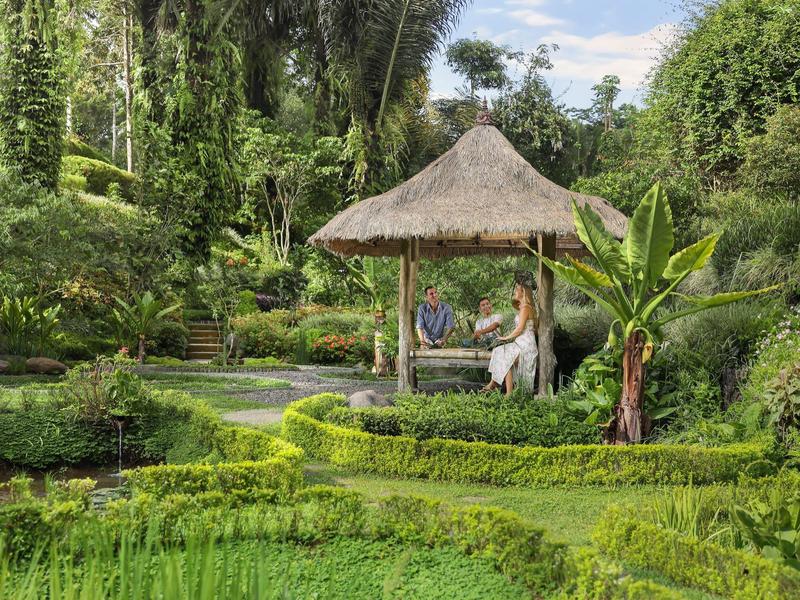 Grüner Garten mit niedrigen Hecken, Reisfeldern und einem kleinen Strohdach-Pavillon im Hintergrund.