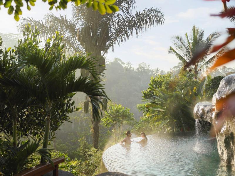 Ein natürlicher Pool umgeben von Palmen und dichter grüner Vegetation bei Morgenlicht.