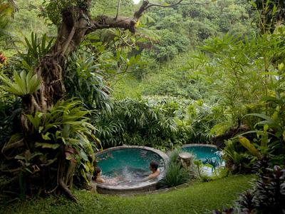 Opředené bazény uprostřed husté zelené džungle.