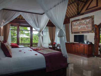 Luxusní hotelový pokoj s baldachýnovou postelí, televizí a výhledem na zeleň přes velká okna.