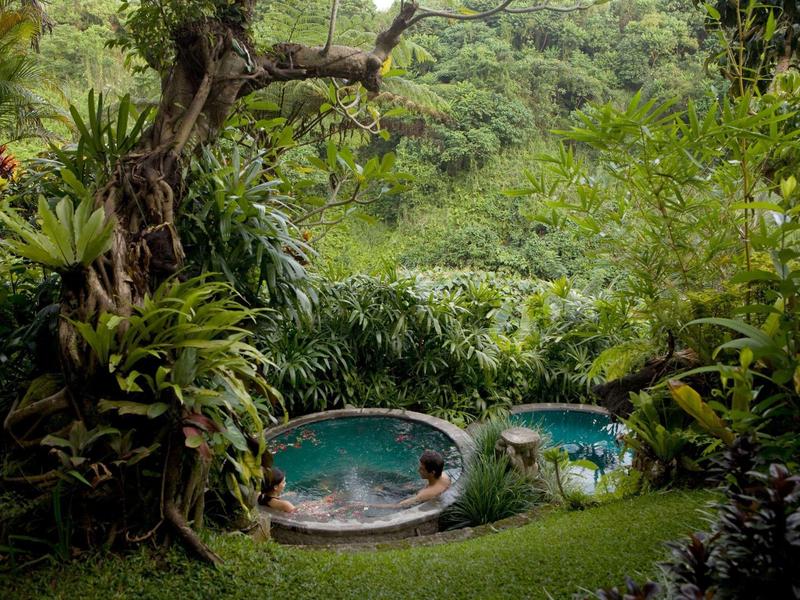 Opředené bazény uprostřed husté zelené džungle.