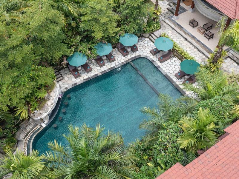 Bovenaanzicht van een zwembad met ligstoelen en groene parasols omgeven door palmbomen.