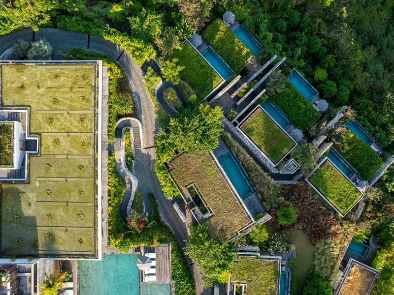 Vue aérienne de bâtiments avec des toits verts dans une zone boisée à côté d'un champ.
