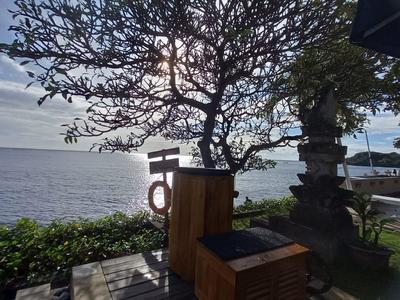 Zonnig uitzicht op zee met een boom voor een terras en stenen sculpturen.