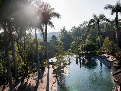 Basen z leżakami i palmami w bujnym, zalesionym otoczeniu przy świetle słonecznym.