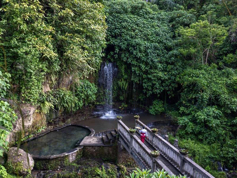Un pont mène à une cascade avec un bassin, entouré d'une forêt dense et verte.