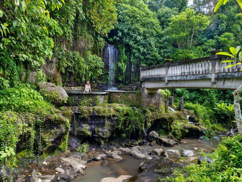 Paysage avec ruisseau rocheux, mousse verte, cascade et pont dans une zone forestière