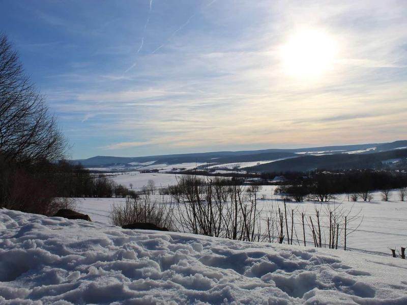 Winterliche Landschaft mit Schneefeld im Vordergrund, kahlen Bäumen und sanften Hügeln unter blauem Himmel.
