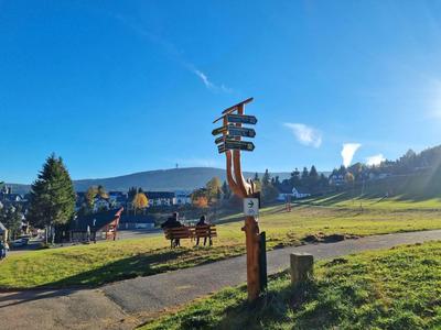 Wegweiser auf einer grünen Wiese mit Bergen und Häusern im Hintergrund bei klarem Himmel.