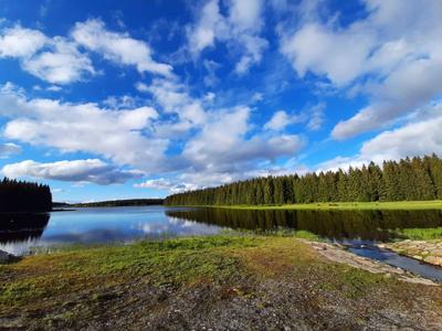 See mit ruhigem Wasser, umgeben von Wäldern und bewölktem Himmel.
