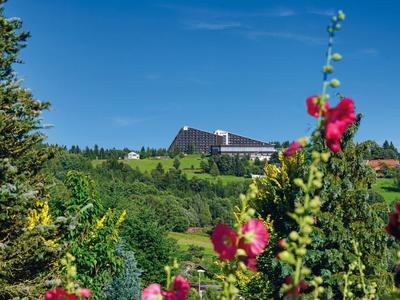 Bâtiment d'hôtel sur une colline entourée de végétation verte et de fleurs colorées au premier plan