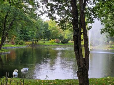 Ein ruhiger See mit Enten, umgeben von Bäumen und einem Brunnen, der Wasser sprüht.