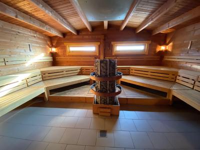 Wooden sauna with benches and central stove in modern design.