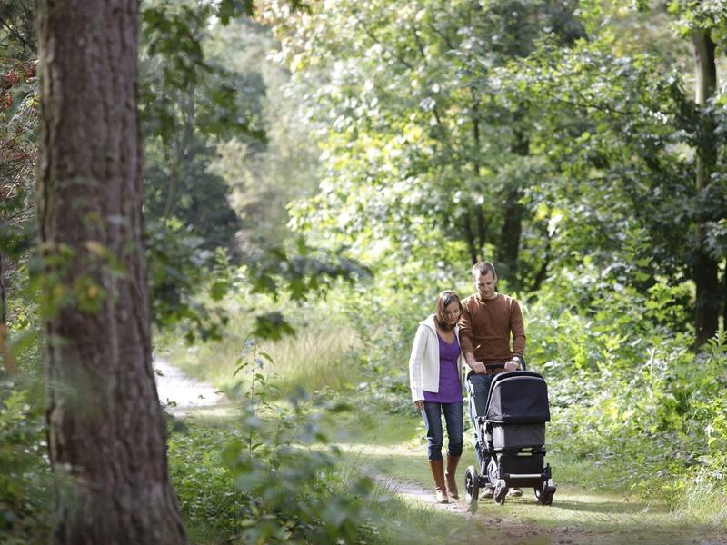 Ein Paar geht mit einem Kinderwagen auf einem sonnigen Waldweg, umgeben von grünen Bäumen.