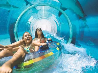 Due donne scivolano su un tubo trasparente in un parco acquatico attraverso uno scivolo a tunnel a tema squalo.