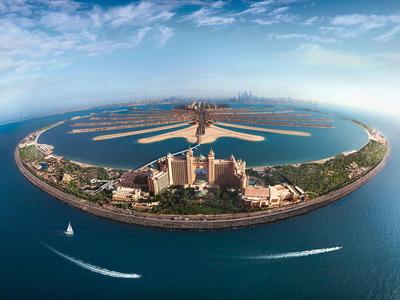 Dxb002 484