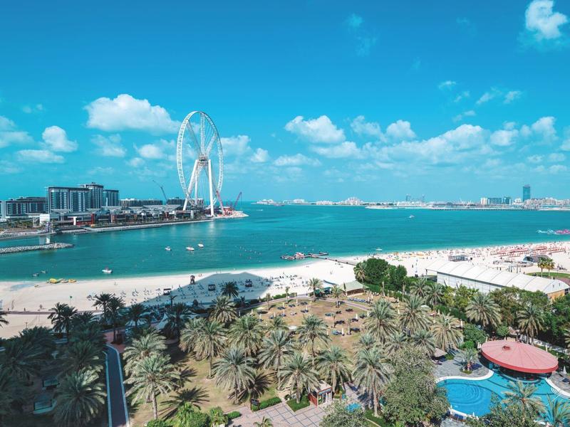 Blick auf einen Strand mit Palmen, einem Schwimmbecken und modernen Gebäuden am Meer