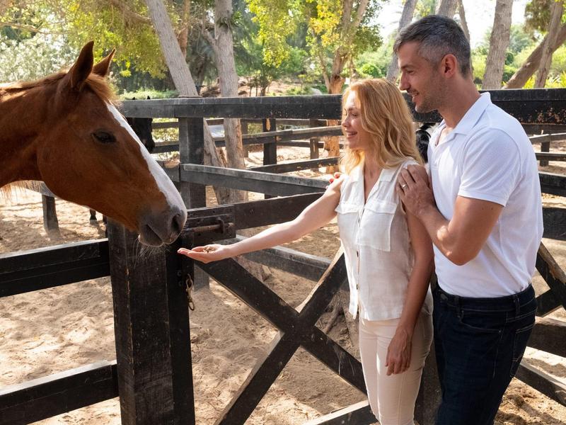 Zwei Menschen strecken Hände zu braunem Pferd über Holzzaun im sonnigen, grünen Gehege.