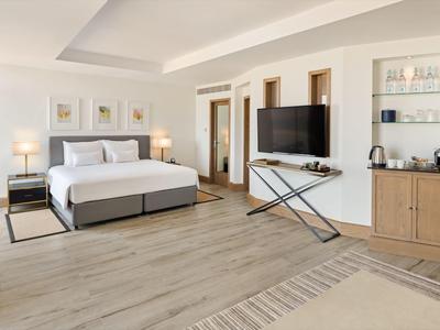 Habitación de hotel luminosa con cama grande, televisor, suelo de madera y mobiliario moderno.