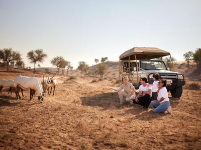 Drei Personen beobachten auf einer Safari in der Savanne zwei Antilopen neben einem Geländewagen.