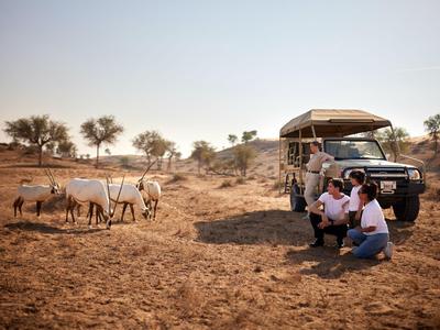 Zwei Personen auf Safari mit Geländewagen, während Antilopen in trockener Savannenlandschaft grasen.
