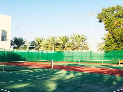 Ein sonniger Tennisplatz mit grünem Zaun und Palmen im Hintergrund bei klarem Himmel.