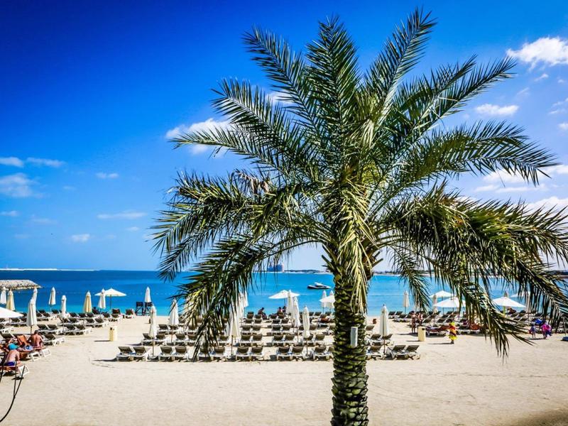 Schöner Sandstrand mit Palmen, Liegestühlen, Sonnenschirmen und klarem blauem Himmel.