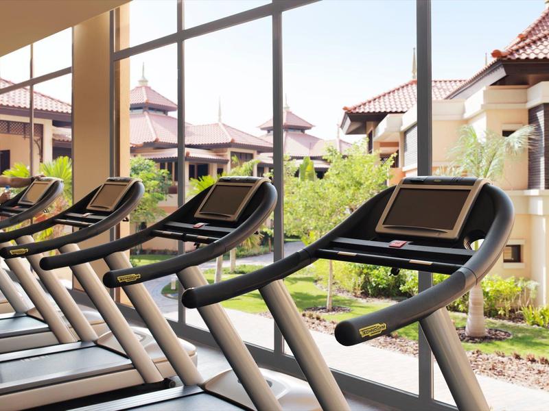 Fitnessstudio mit modernen Laufbändern vor großen Fenstern und Ausblick auf grüne Außenanlage.