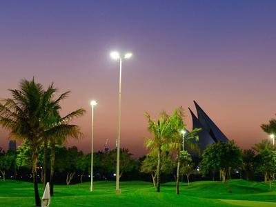 Park with trees, streetlights, and a pond at sunset