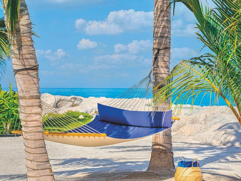 Hängematte zwischen Palmen mit Meerblick an einem sonnigen Strand.