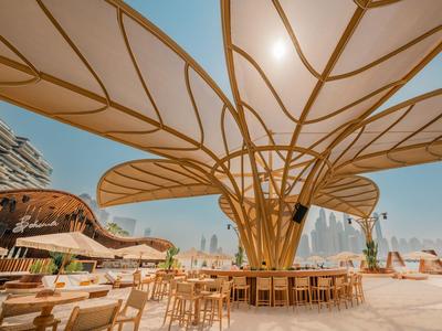 Nowoczesna przestrzeń na zewnątrz z cieniującą strukturą przypominającą drzewo i drewnianymi meblami pod czystym niebem.