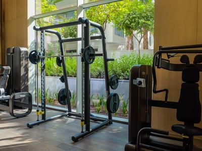 Nowoczesna siłownia z wyposażeniem do ćwiczeń siłowych i widokiem na ogród przez duże okna