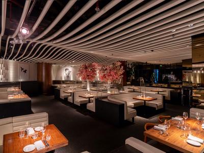 Modern restaurant with stylish seating areas and a decorative indoor tree.