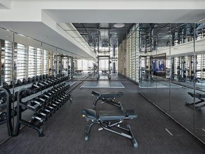 Palestra moderna con manubri, varie panche da allenamento e grande parete specchiata.