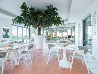 Helles Café mit großen Fenstern, weißen Möbeln und großem Baum in weißem Topf in der Mitte.