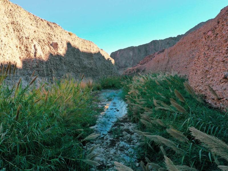 Trockener Flusslauf mit grünen Pflanzen, umgeben von hohen, sandigen Felswänden und klarem Himmel.