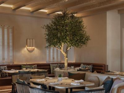 Cozy dining area with round table, padded chairs, and a large plant in the center.