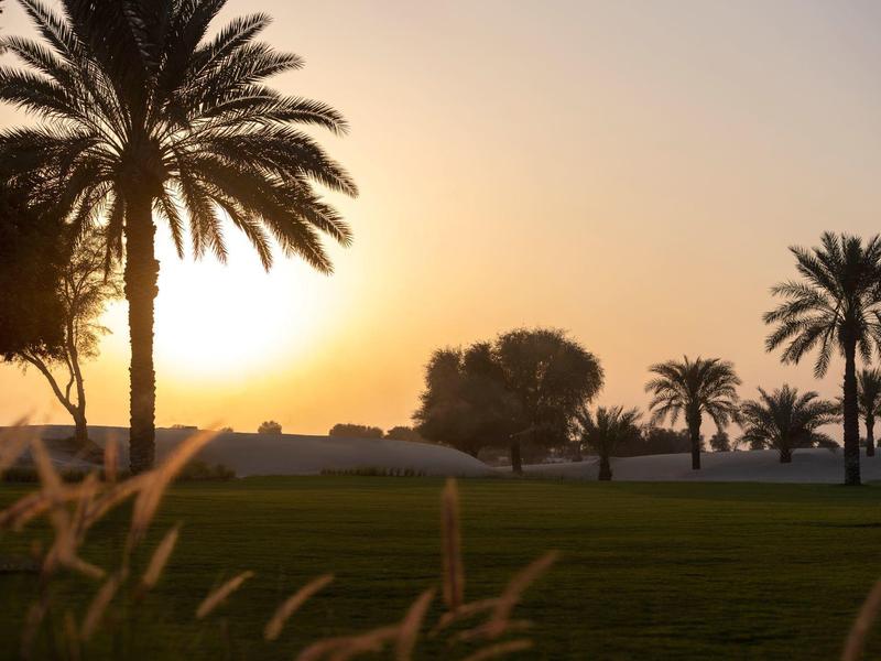 Sunset over green lawn with palm trees and other trees