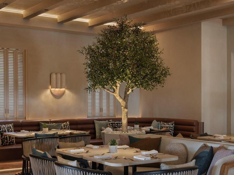 Cozy dining area with round table, padded chairs, and a large plant in the center.