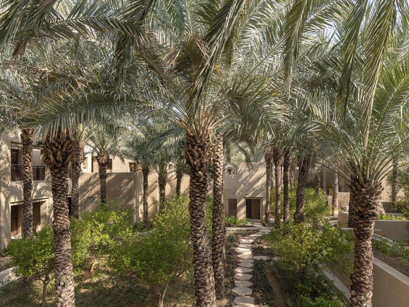 A shaded path lined with tall palm trees in front of a hotel building.