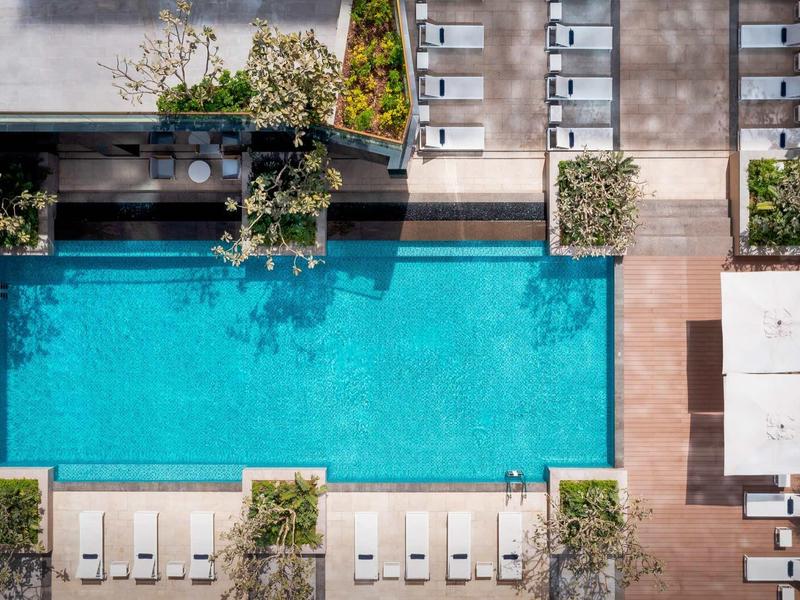 Aerial view of a rectangular pool with lounge chairs and trees in the hotel garden.