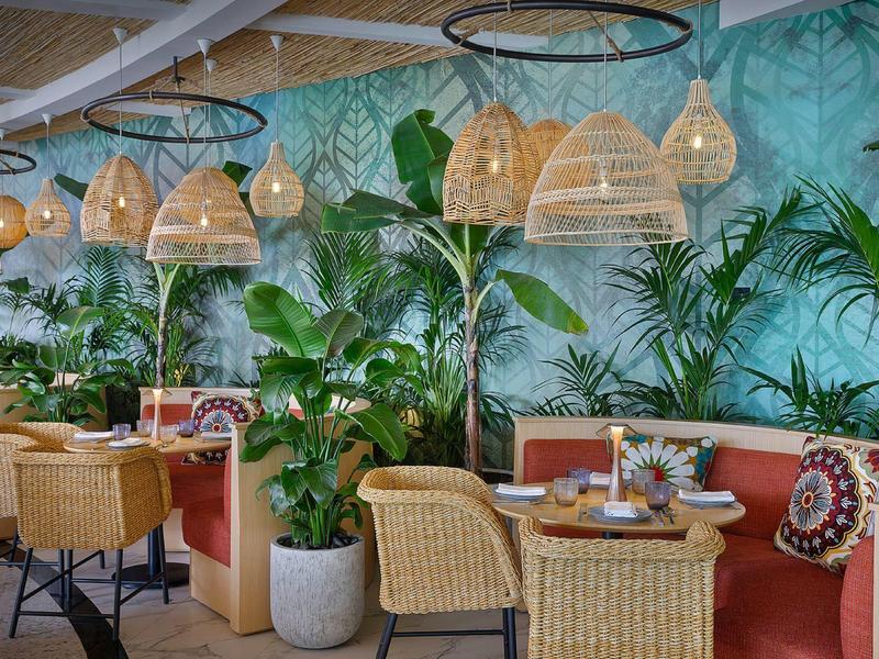 Cozy hotel area with plants, wicker furniture, and nautical decor.