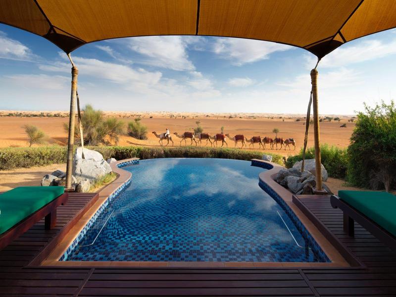 Infinity pool overlooking a herd of camels in the desert under a blue sky.