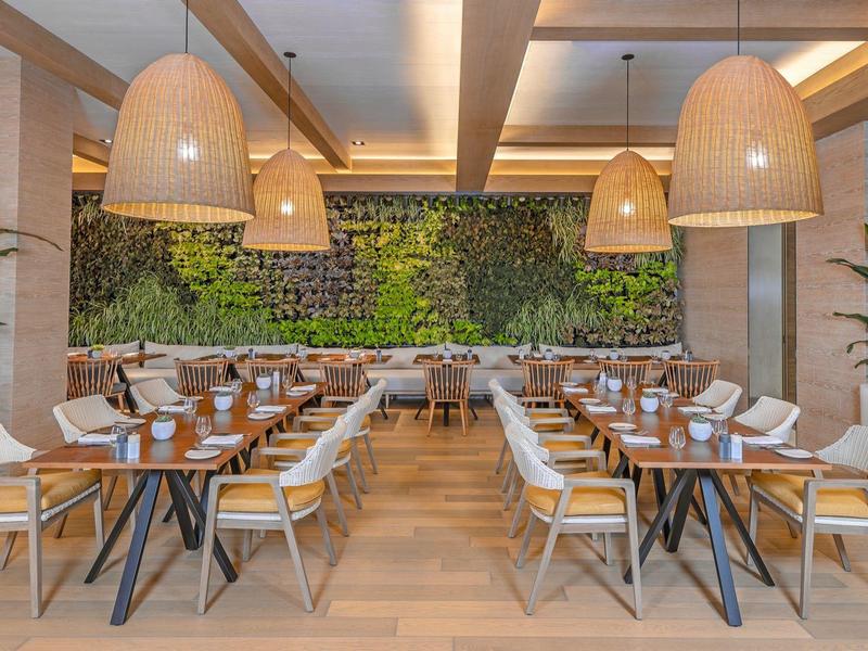 Moderner Speisesaal mit Holztischen, weißen Stühlen und grüner Wandpflanze als Dekor.