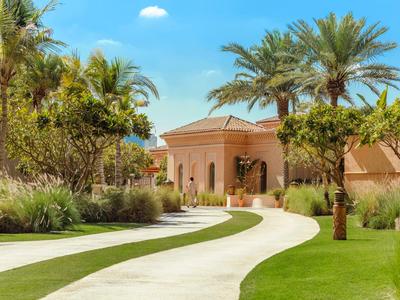 Curved pathway leads to a modern building surrounded by palm trees and green vegetation.