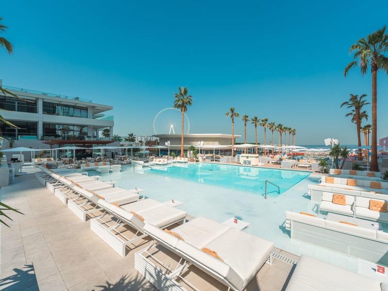 Large outdoor pool with white loungers and palm trees under clear blue sky.