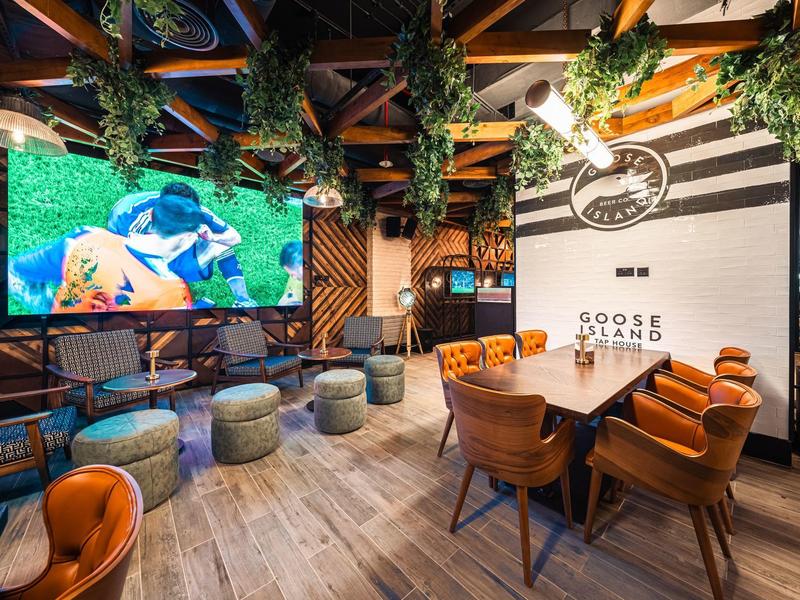 Modern hotel lounge area with cozy seating, TV, and green plants.